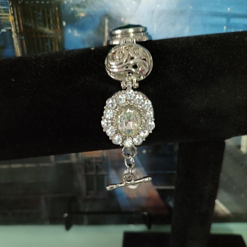 Interchangeable Gingersnap Silver Bracelet